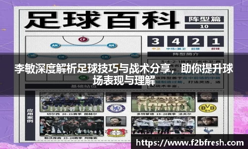 李敏深度解析足球技巧与战术分享，助你提升球场表现与理解